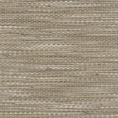 Tumbleweed - Fossil Tekloom | Phillipe Romano
