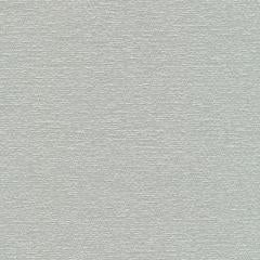 Diamond Reef - Silver Vegan Leather | Phillipe Romano