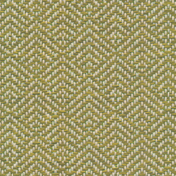 Elevate - Hula Tekloom | Phillipe Romano
