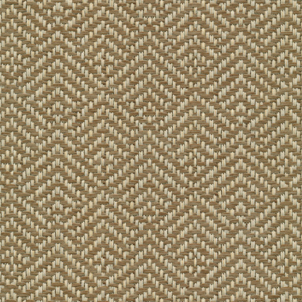 Elevate - Reed Tekloom | Phillipe Romano