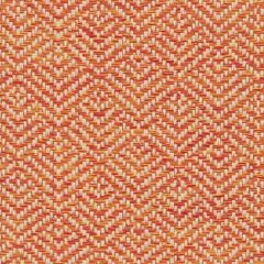 Elevate - Torch Tekloom | Phillipe Romano