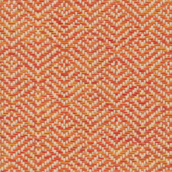 Elevate - Torch Tekloom | Phillipe Romano