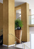 Katamari Wide Width, Dark Gold