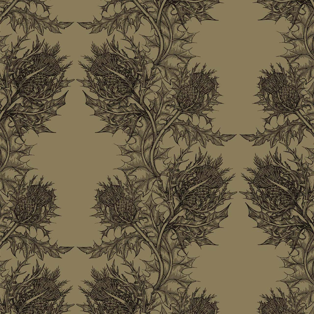 Thistle Black on Khaki