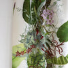Topical Tropical Linen Original