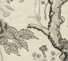 Tree Peony, Charcoal Grays on Ecru