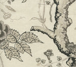Tree Peony, Charcoal Grays on Ecru