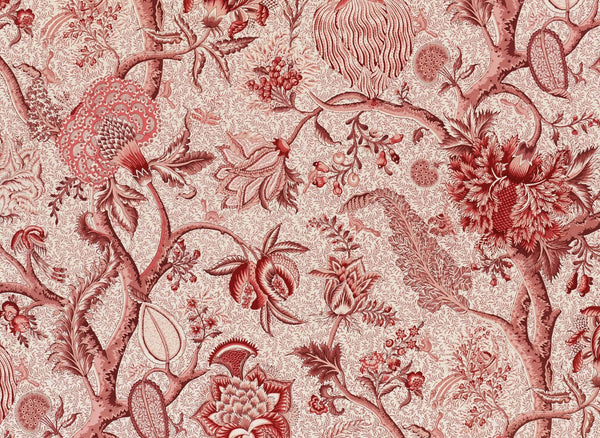 Le grand corail camaieux Rose Ancien | Pierre Frey