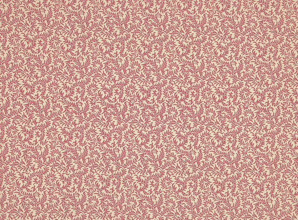 Le grand corail vermicule assorti Rouge Fond CrèMe | Pierre Frey