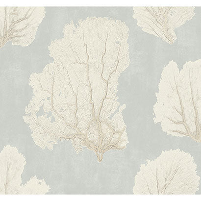 Coral Couture Wallpaper | Jeffrey Stevens