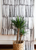 Variation Reductive Black