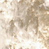 Mottled Cloudscape Texture Creamy Beige | Architectural Fabrics