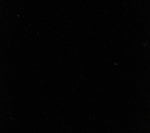 Villa Velvet, Black