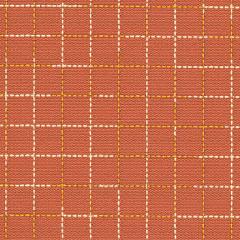 Webster - Tart Silicone Hybrid | Phillipe Romano