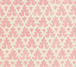 Volpi, New Pink on Tint