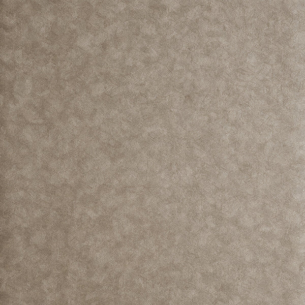 Hexagon - Antique  By Clarke And Clarke | Clarke & Clarke Reflections | Tone On Tone Wallcovering Print
