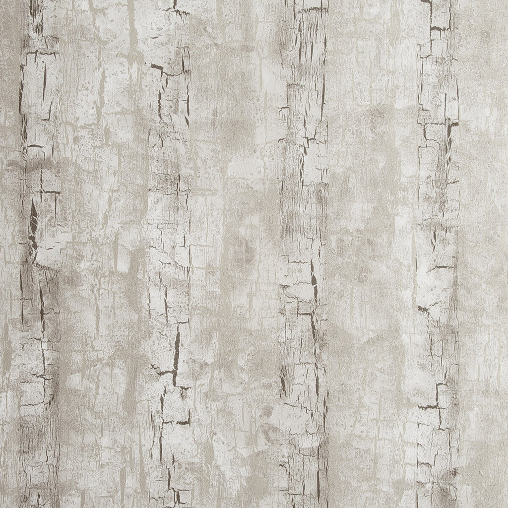 Samples and Purchasing available for Tree Bark - Birch  By Clarke And Clarke | Clarke & Clarke Reflections |Solid Texture Wallcovering Print at Designer Wallcoverings and Fabrics