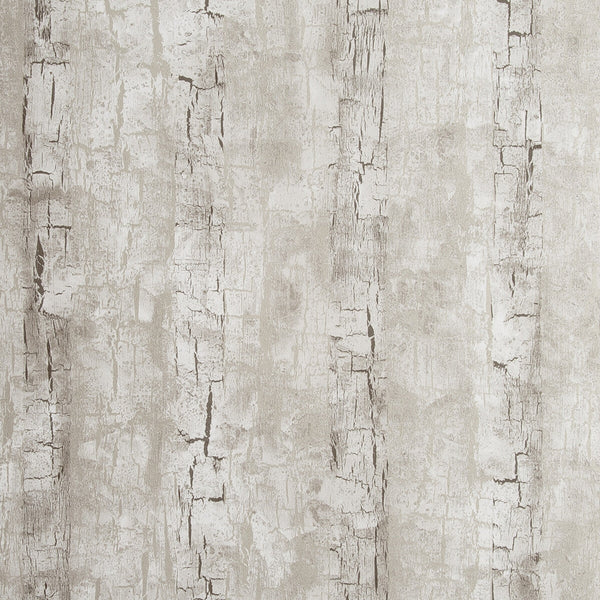 Samples and Purchasing available for Tree Bark - Birch  By Clarke And Clarke | Clarke & Clarke Reflections |Solid Texture Wallcovering Print at Designer Wallcoverings and Fabrics
