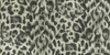 Felis - Charcoal/Gold  Multi By Clarke And Clarke | Wilderie By Emma J Shipley For C&C | Animal Skins Wallcovering Print