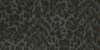 Felis - Charcoal/Rose Gold  Multi By Clarke And Clarke | Wilderie By Emma J Shipley For C&C | Animal Skins Wallcovering Print