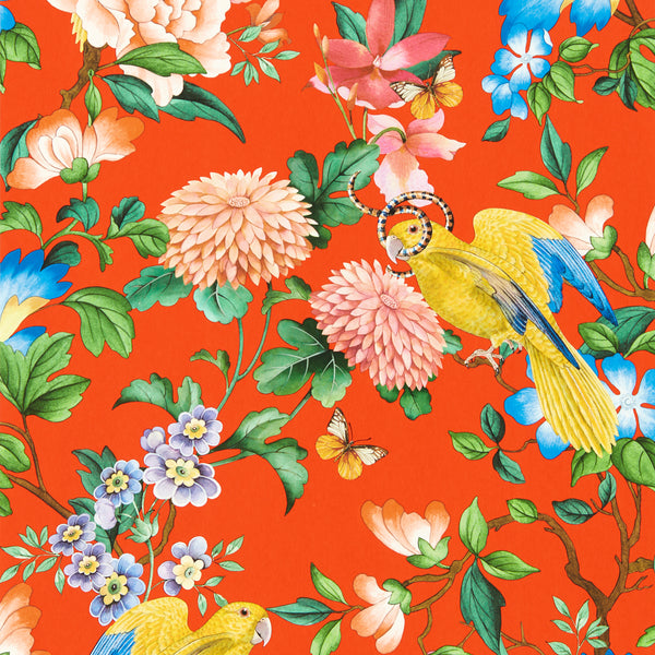 Golden Parrot Wp - Coral Multi By Clarke And Clarke | Clarke & Clarke Botanical Wonders Wallcovering |Animal/Insects Novelty Wallcovering Print