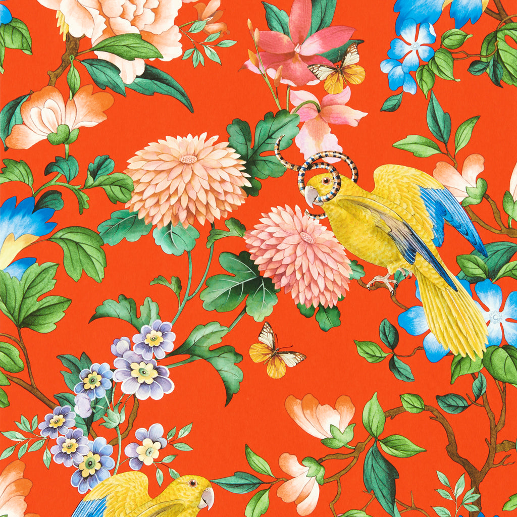 Golden Parrot Wp - Coral Multi By Clarke And Clarke | Clarke & Clarke Botanical Wonders Wallcovering |Animal/Insects Novelty Wallcovering Print
