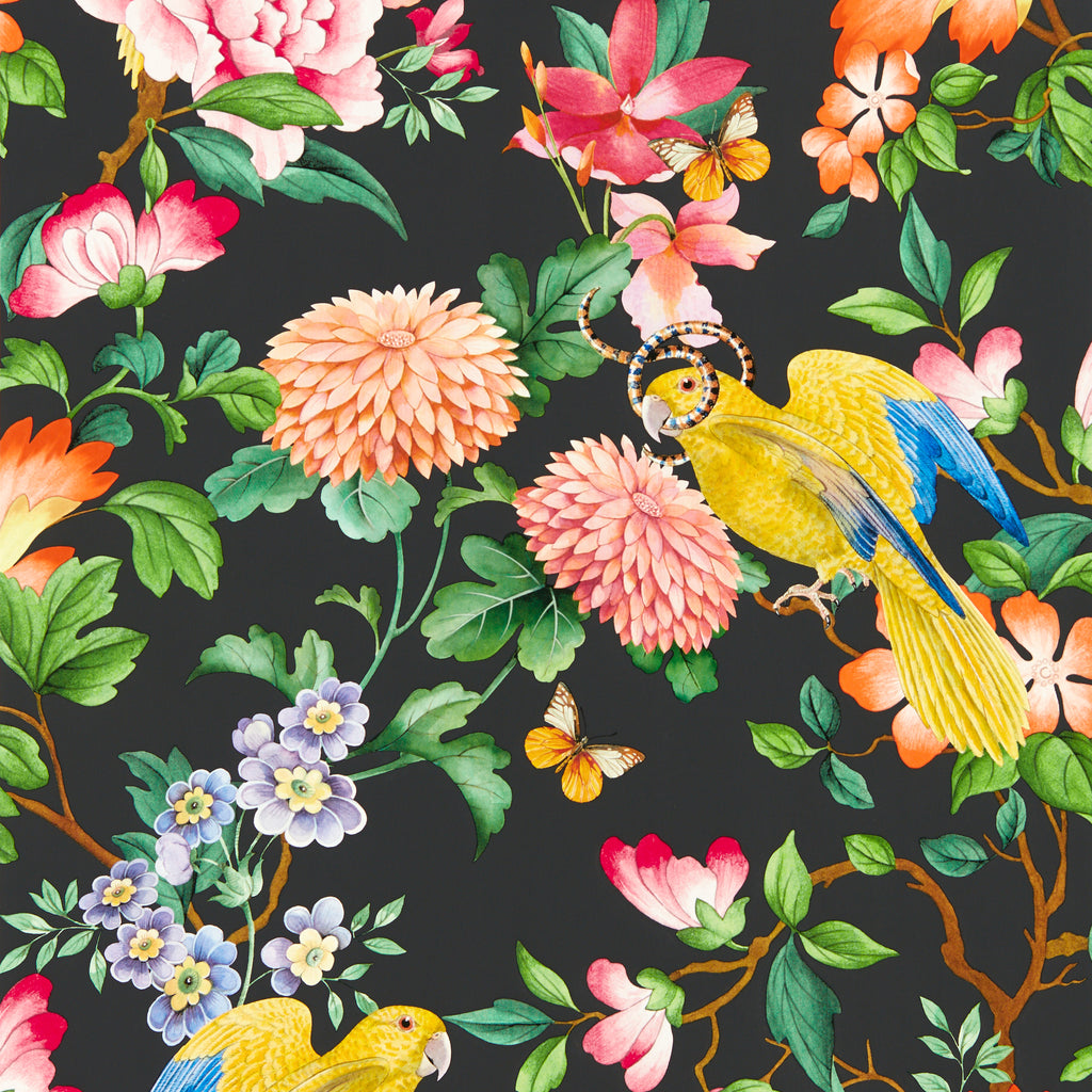 Golden Parrot Wp - Noir Multi By Clarke And Clarke | Clarke & Clarke Botanical Wonders Wallcovering |Animal/Insects Novelty Wallcovering Print