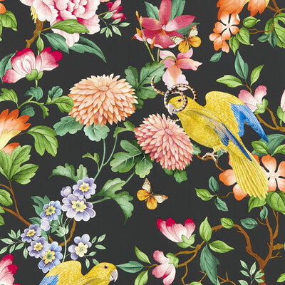 Golden Parrot Wp - Noir Multi By Clarke And Clarke | Clarke & Clarke Botanical Wonders Wallcovering |Animal/Insects Novelty Wallcovering Print