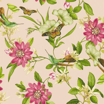 Samples and Purchasing available for Pink Lotus Wp - Blush Multi By Clarke And Clarke | Clarke & Clarke Botanical Wonders Wallpaper | Animal/Insects Wallcovering Print at Designer Wallcoverings and Fabrics