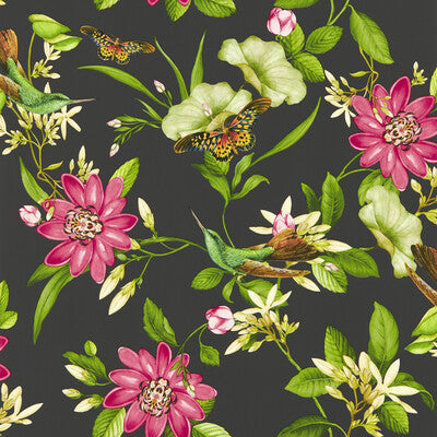 Pink Lotus Wp - Noir Multi By Clarke And Clarke | Clarke & Clarke Botanical Wonders Wallcovering | Animal/Insects Wallcovering Print