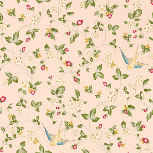 Wild Strawberry Wp - Blush Multi By Clarke And Clarke | Clarke & Clarke Botanical Wonders Wallcovering | Animal/Insects Wallcovering Print