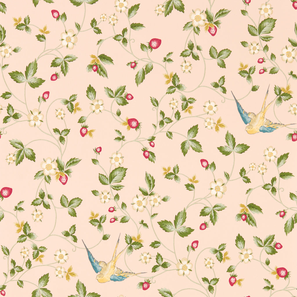 Wild Strawberry Wp - Blush Multi By Clarke And Clarke | Clarke & Clarke Botanical Wonders Wallcovering | Animal/Insects Wallcovering Print