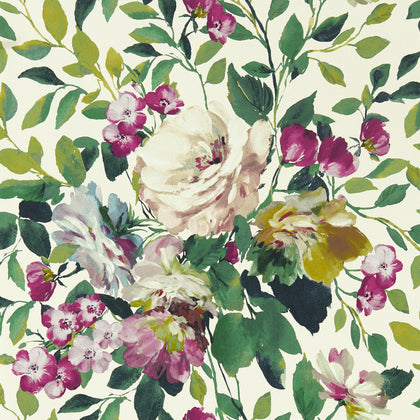 Bloom - Fuchsia Wp Fuschia By Clarke And Clarke | Clarke & Clarke Exotica 2 Luxury Wallcovering | Botanical & Floral Wallcovering Print
