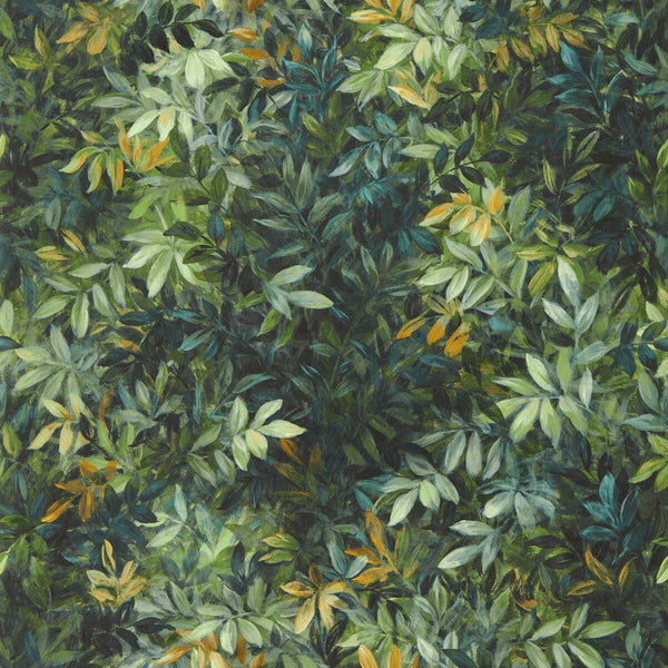 Congo - Forest Wp Green By Clarke And Clarke | Clarke & Clarke Exotica 2 Luxury Wallcovering | Botanical & Floral Wallcovering Print