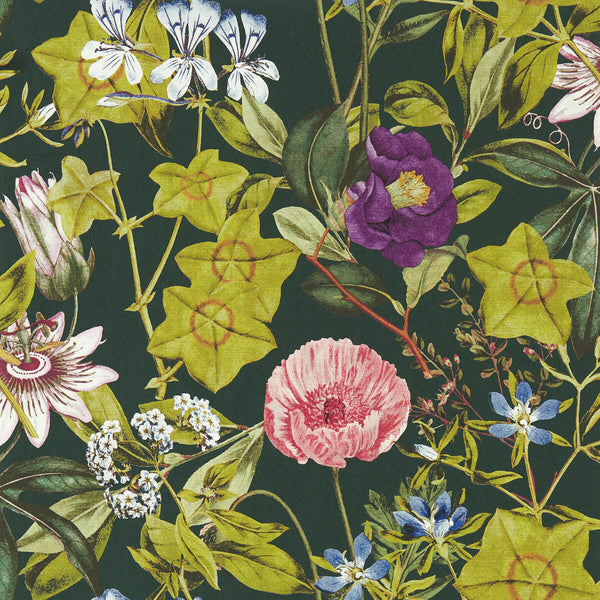 Passiflora - Emerald Wp Emerald By Clarke And Clarke | Clarke & Clarke Exotica 2 Luxury Wallcovering | Botanical & Floral Wallcovering Print