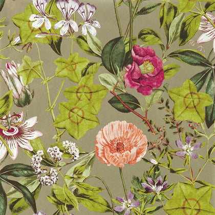 Passiflora - Mulberry/Gilver Wp Multi By Clarke And Clarke | Clarke & Clarke Exotica 2 Luxury Wallcovering | Botanical & Floral Wallcovering Print