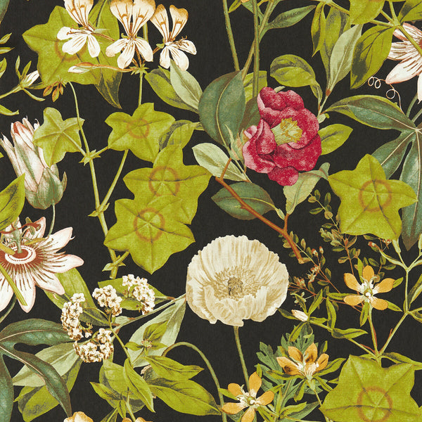 Passiflora - Noir Wp Black By Clarke And Clarke | Clarke & Clarke Exotica 2 Luxury Wallcovering | Botanical & Floral Wallcovering Print