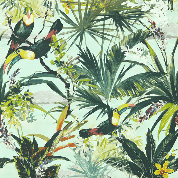 Toucan - Sky Wp Blue By Clarke And Clarke | Clarke & Clarke Exotica 2 Luxury Wallcovering |Animal/Insects Botanical & Floral Wallcovering Print