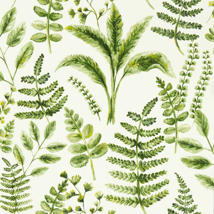 Bracken - Forest Wp Green By Clarke And Clarke | Clarke & Clarke Marianne Wallcovering | Botanical & Floral Wallcovering Print