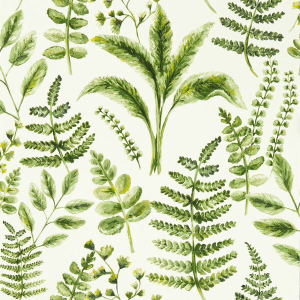 Bracken - Forest Wp Green By Clarke And Clarke | Clarke & Clarke Marianne Wallcovering | Botanical & Floral Wallcovering Print