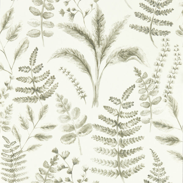 Bracken - Natural Wp Grey By Clarke And Clarke | Clarke & Clarke Marianne Wallcovering | Botanical & Floral Wallcovering Print