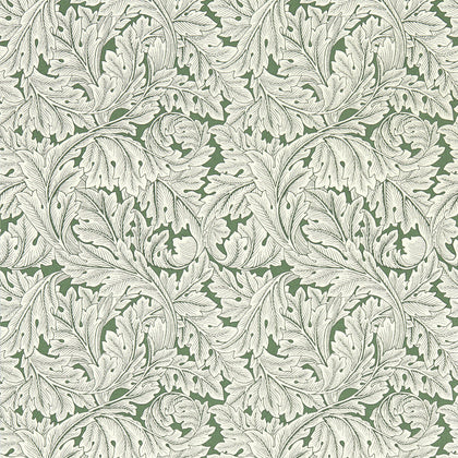 Acanthus - Sage Wp Olive Green By Clarke And Clarke | Clarke & Clarke William Morris Wallcovering | Botanical & Floral Wallcovering Print