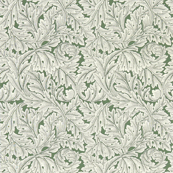 Acanthus - Sage Wp Olive Green By Clarke And Clarke | Clarke & Clarke William Morris Wallcovering | Botanical & Floral Wallcovering Print