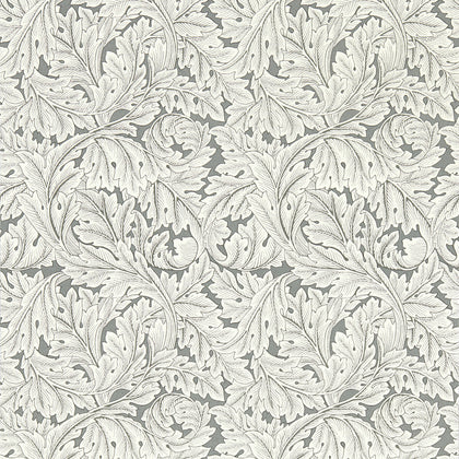 Acanthus - Slate Wp Grey By Clarke And Clarke | Clarke & Clarke William Morris Wallcovering | Botanical & Floral Wallcovering Print