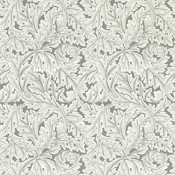 Acanthus - Slate Wp Grey By Clarke And Clarke | Clarke & Clarke William Morris Wallcovering | Botanical & Floral Wallcovering Print