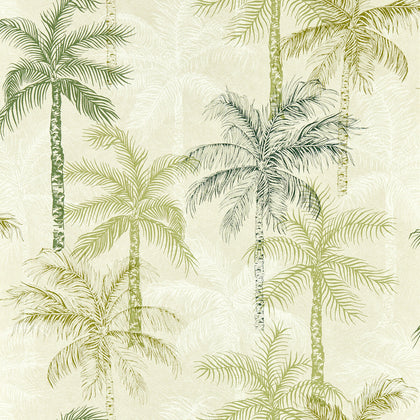 Palmyra - Palm Wp Green By Clarke And Clarke | Clarke & Clarke Breegan Jane Wallcovering |Botanical & Floral Texture Wallcovering Print