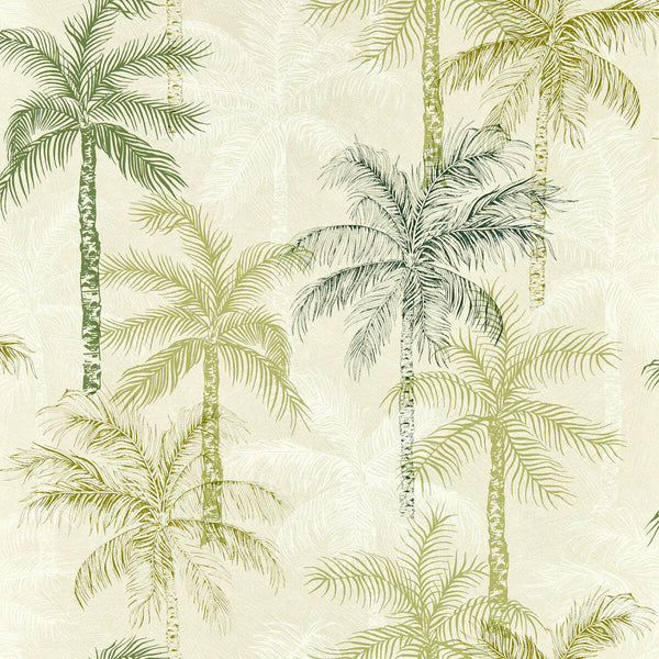 Palmyra - Palm Wp Green By Clarke And Clarke | Clarke & Clarke Breegan Jane Wallcovering |Botanical & Floral Texture Wallcovering Print