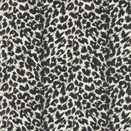 Pokot - Noir Wp Black By Clarke And Clarke | Clarke & Clarke Breegan Jane Wallcovering |Animal Skins Texture Wallcovering Print