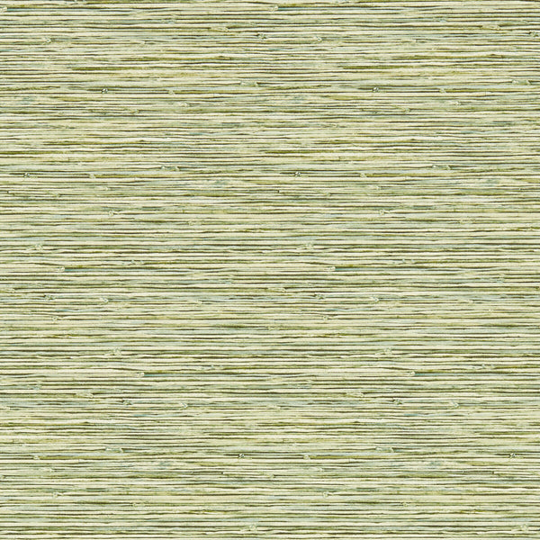 Xan - Palm Wp Green By Clarke And Clarke | Clarke & Clarke Breegan Jane Wallcovering |Stripes Texture Wallcovering Print