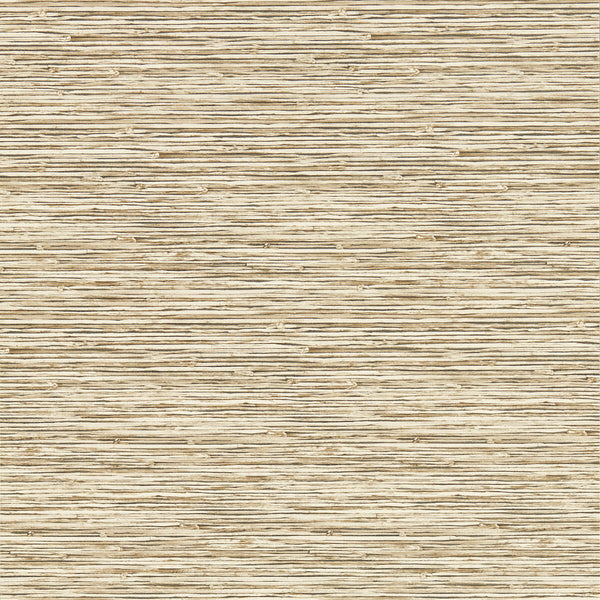 Xan - Sahara Wp Brown By Clarke And Clarke | Clarke & Clarke Breegan Jane Wallcovering |Stripes Texture Wallcovering Print